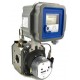 Honeywell American Meter RABO® Rotary Gas Meters
