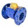 Zenner Turbine Water Meter (Epoxy Coated Iron)