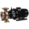 Saer MG2 Bronze End Suction Electrical Centrifugal Pump 