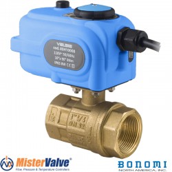 Bonomi 8E864 250N 2-Way Direct Mount Brass Full Port 600 WOG 150 WSP Ball Valve