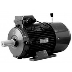 Mistervalve GPT IE3 electric motor 0.75 kW 265/460V, 460VY