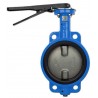 Bonomi N500S Lever operated butterfly valve EPDM seat, wafer body St. Steel disc.