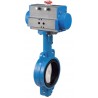 Bonomi DAN500N butterfly valve with double acting actuator 2" to 12"